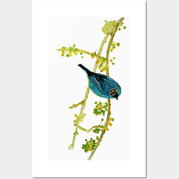 Watercolor blue Tanager bird Wall Art by Artbyruthandco